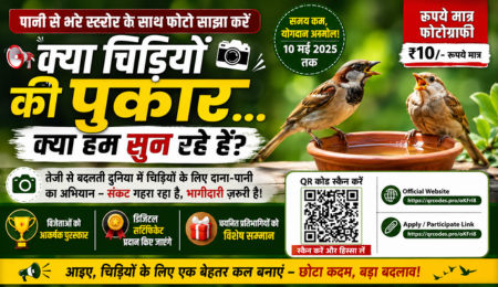 Keep a Bowl of Water Outside Your Home and Save Birds – Win a Silver Bowl